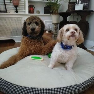 Meet your Posher, Joanne